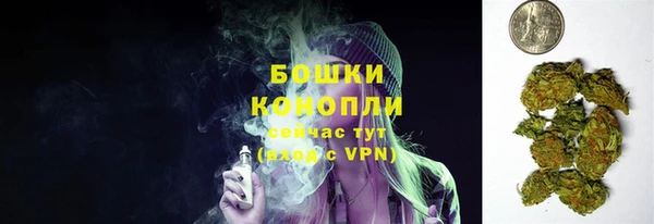 ПСИЛОЦИБИНОВЫЕ ГРИБЫ Арсеньев