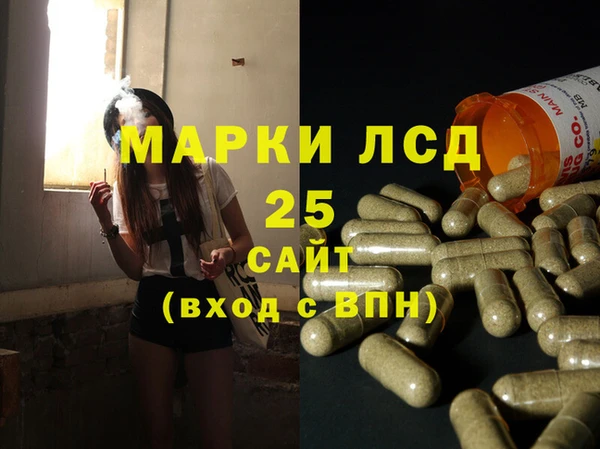 ПСИЛОЦИБИНОВЫЕ ГРИБЫ Арсеньев