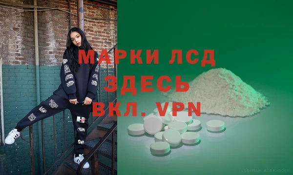 ПСИЛОЦИБИНОВЫЕ ГРИБЫ Арсеньев